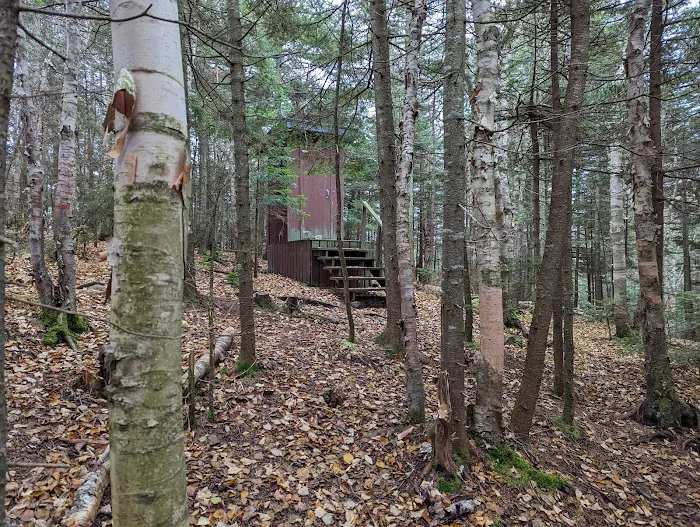 Unknown Pond Tentsite Picture 7