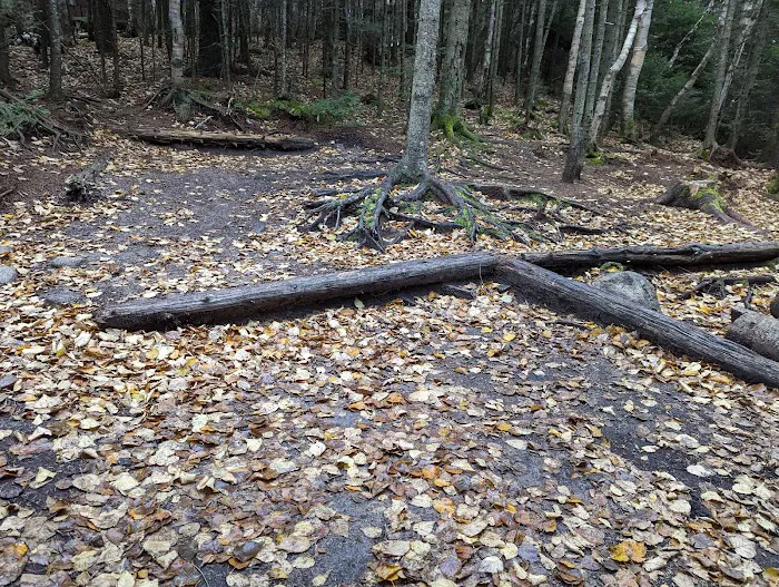 Unknown Pond Tentsite Picture 8