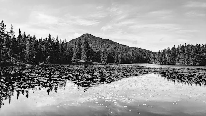 Unknown Pond Tentsite Picture 4