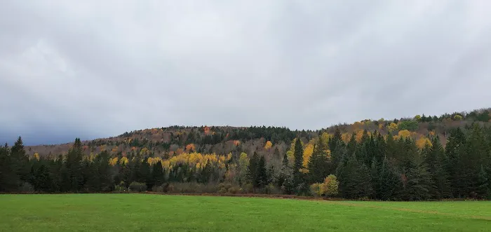 Log Haven Campgrounds Picture 3