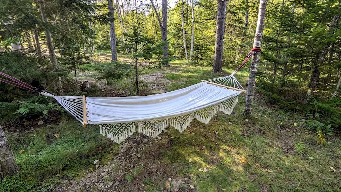 Jericho Mountain State Park Campground Picture 8