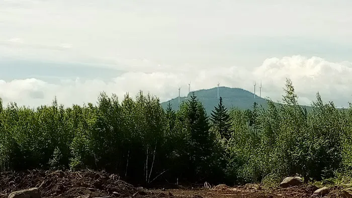 Jericho Gateway Family Campground Picture 5