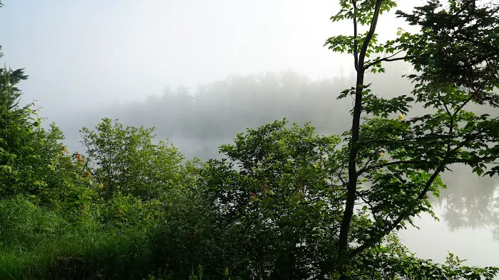 Mollidgewock State Park Campground Picture 3