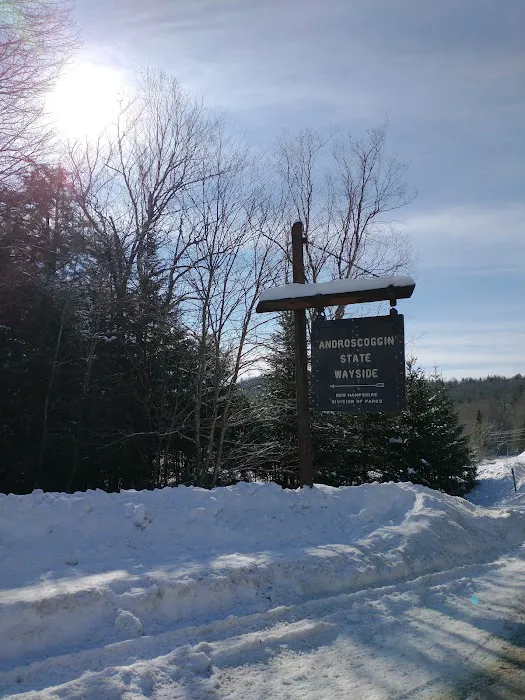 Mollidgewock State Park Campground Picture 10