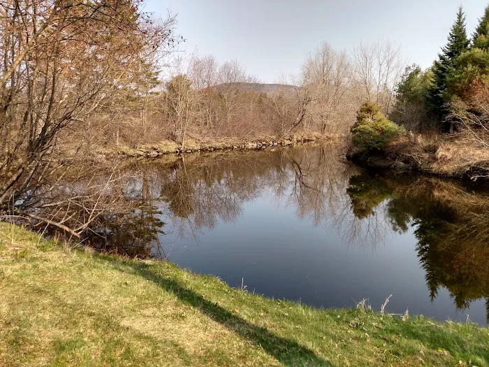 Clear Stream Campground Picture 6