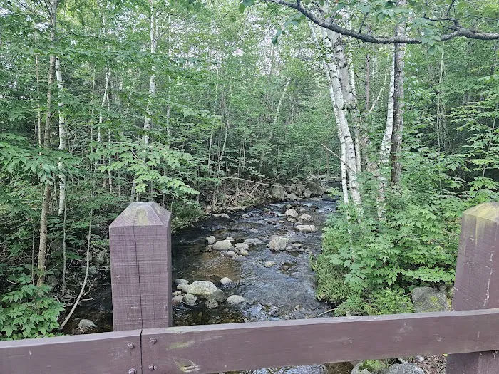 Moose Brook State Park Campground Picture 9