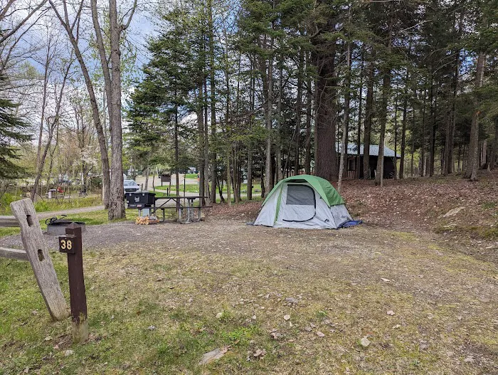 Umbagog Lake State Park Campground Picture 9