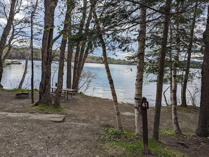 Umbagog Lake State Park Campground Picture 6