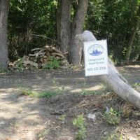 Champion Meadow Campground ico