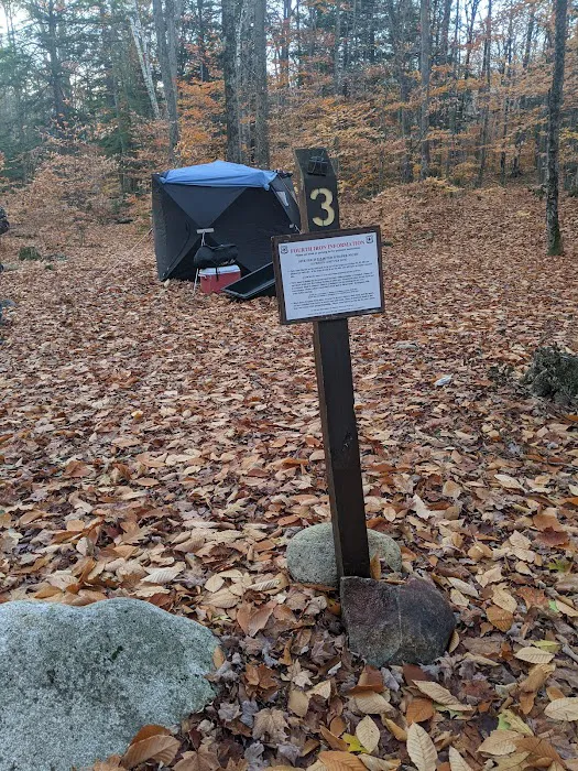 Fourth Iron Campground Picture 1