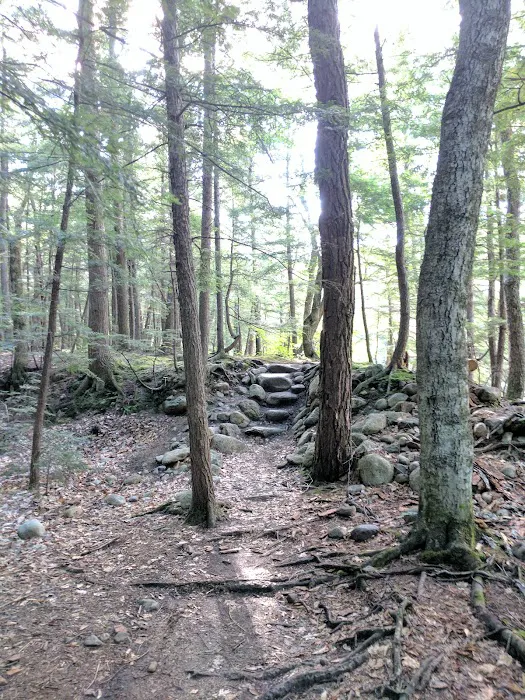 Fourth Iron Campground Picture 8