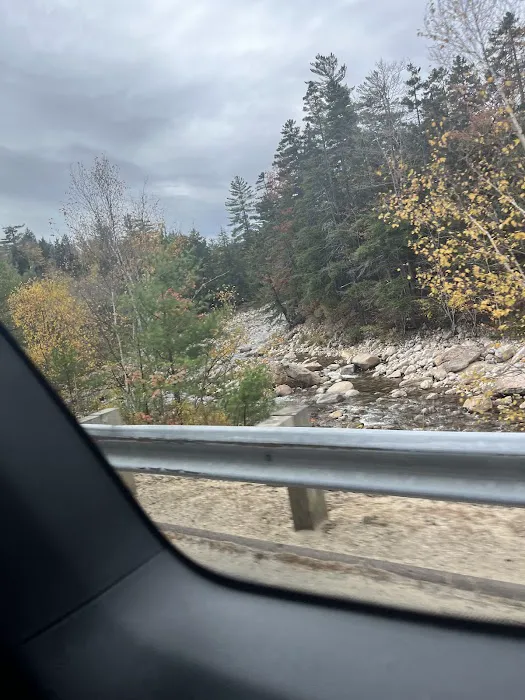 Fourth Iron Campground parking area Picture 4