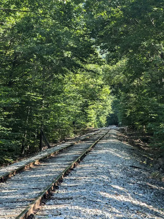 Fourth Iron Campground parking area Picture 3