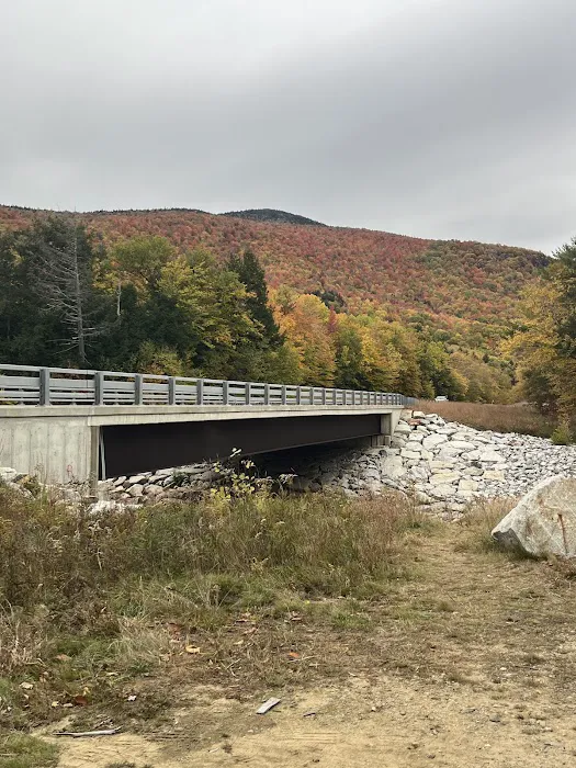 Fourth Iron Campground parking area Picture 7