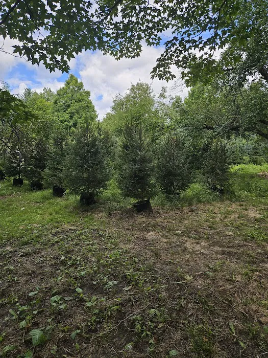 Northern NH Nursery Garden Center and Waterfront Camping Picture 3