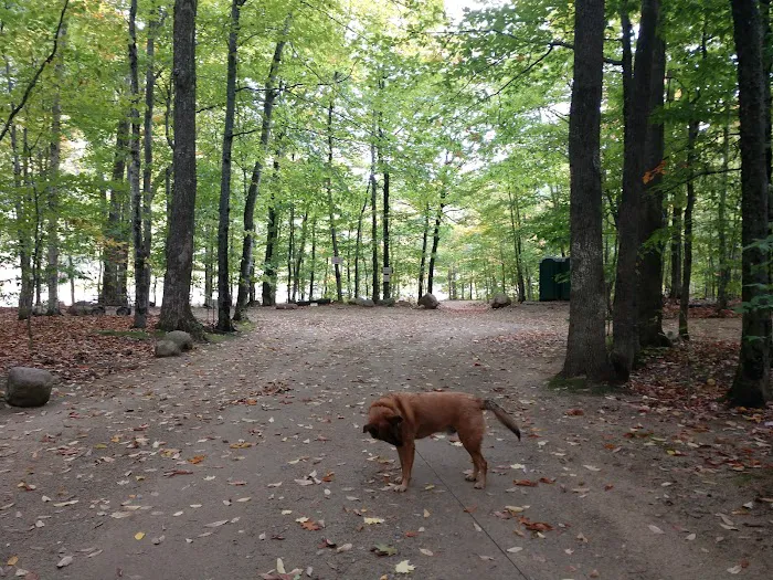 Crawford Notch Campground Picture 6