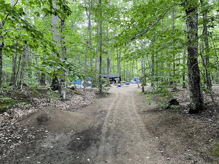 Crawford Notch Campground Picture 10