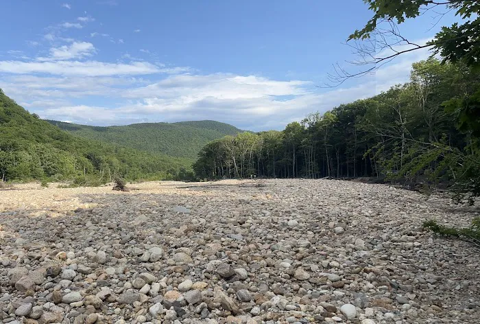 Crawford Notch Campground Picture 4