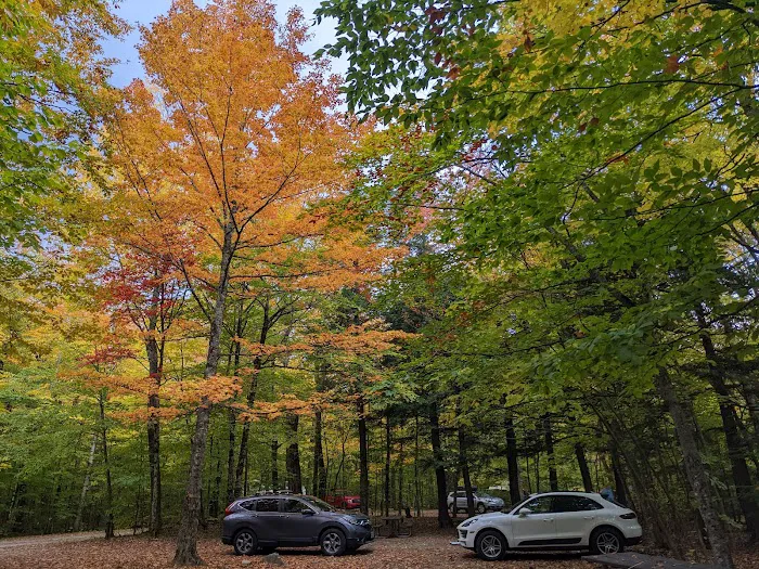 Dry River Campground Picture 9