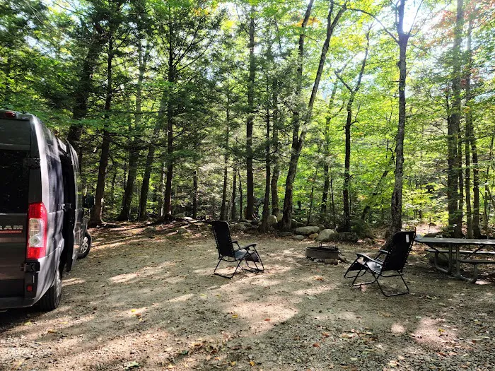 Dry River Campground Picture 10