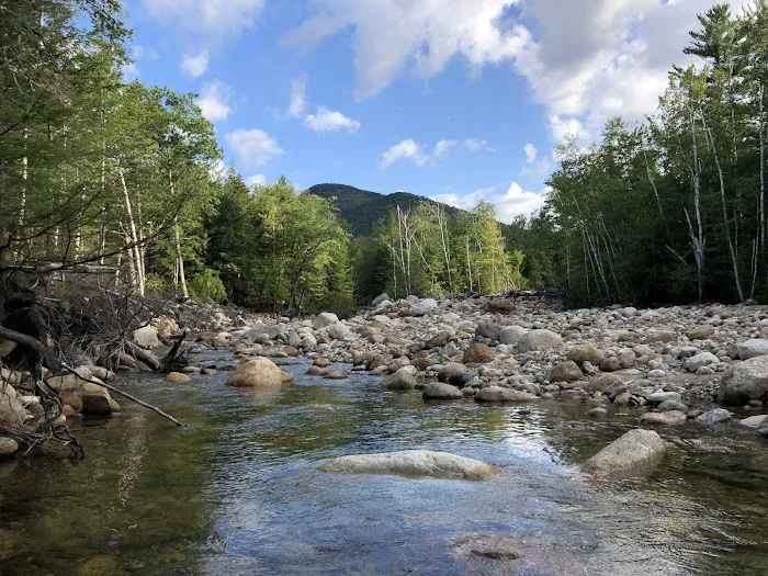 Dry River Campground Picture 4