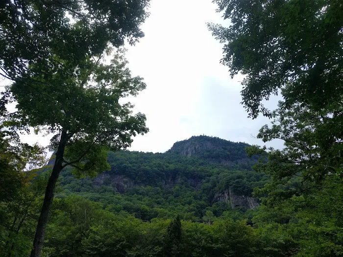 Dry River Campground Picture 7