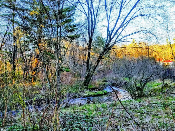 Transvale Acres Picture 6