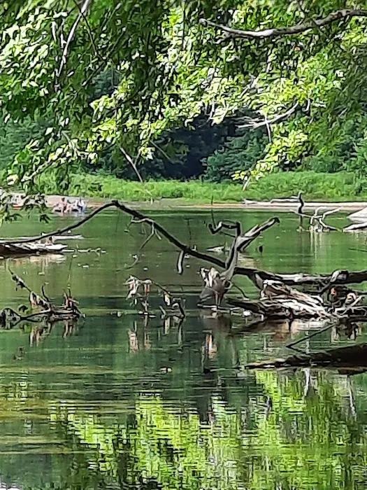 Transvale Acres Picture 7