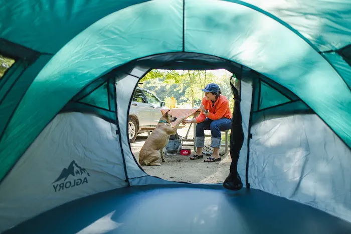 The Beach Camping Area Picture 2