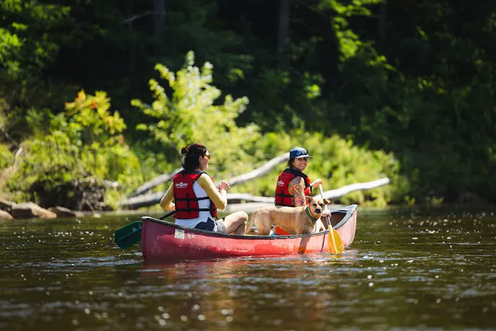 The Beach Camping Area Picture 9