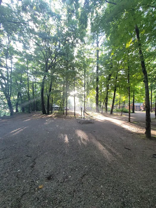 Glen Ellis Camground Picture 8