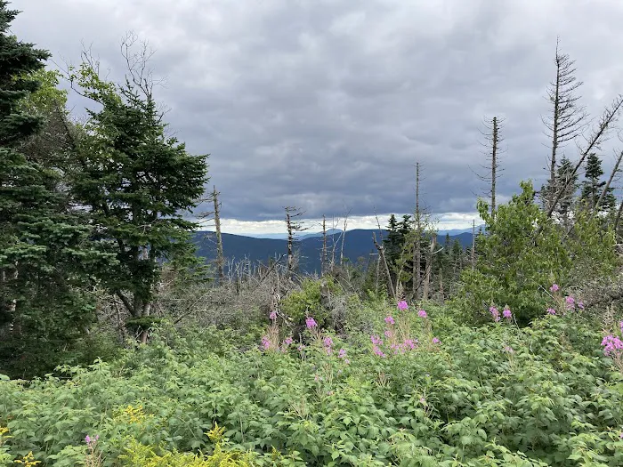 Nauman Tentsite Picture 9