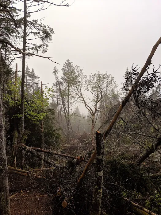 Nauman Tentsite Picture 10