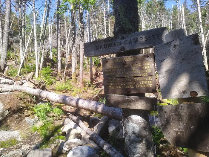 Nauman Tentsite Picture 2