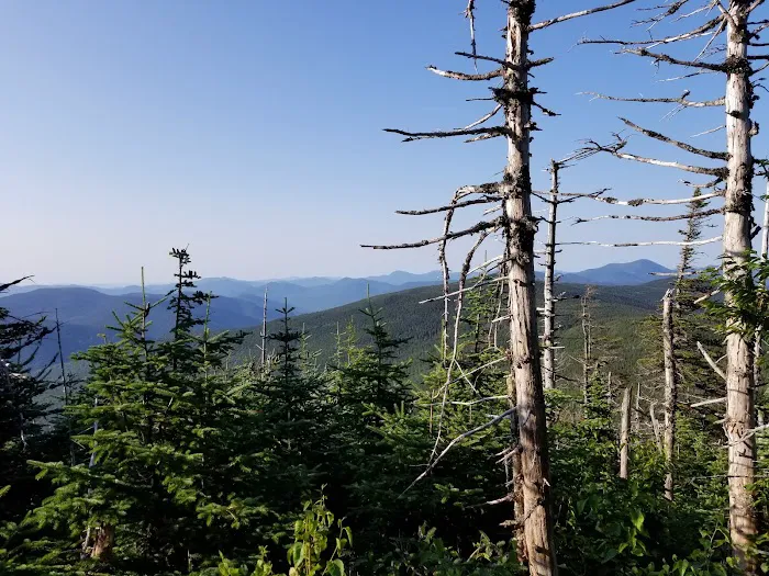 Nauman Tentsite Picture 3