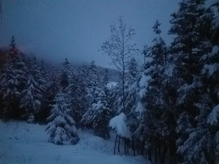 Lakes of the Clouds Hut Picture 9