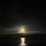 Cape Neddick Oceanside Campground