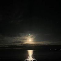 Cape Neddick Oceanside Campground ico