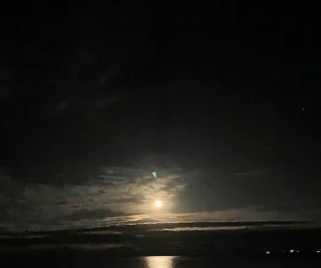 Cape Neddick Oceanside Campground