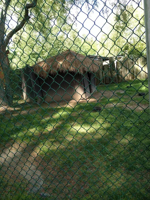 Burnette's Campground Picture 4