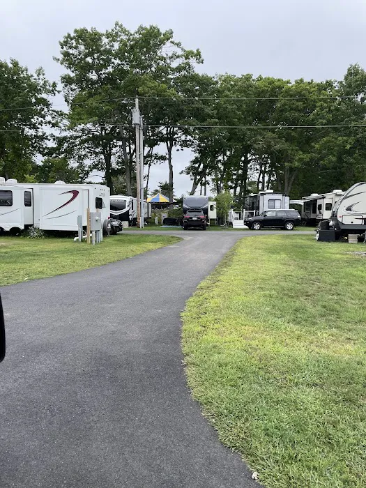 Burnette's Campground Picture 8