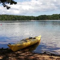 Nickerson State Park - Area 1 ico