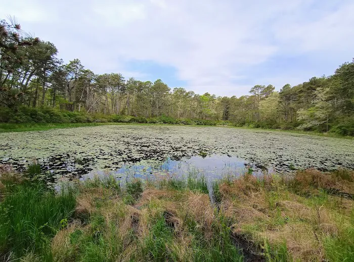 Nickerson State Park - Area 1 Picture 6