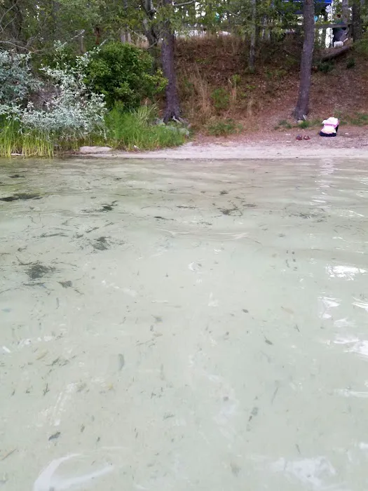 Nickerson State Park - Area 1 Picture 9