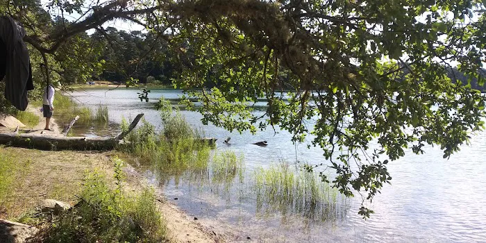 Nickerson State Park - Area 1 Picture 8