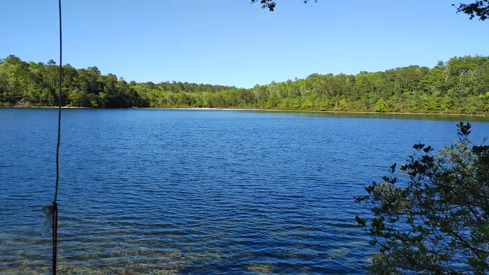 Nickerson State Park - Area 6 Picture 1