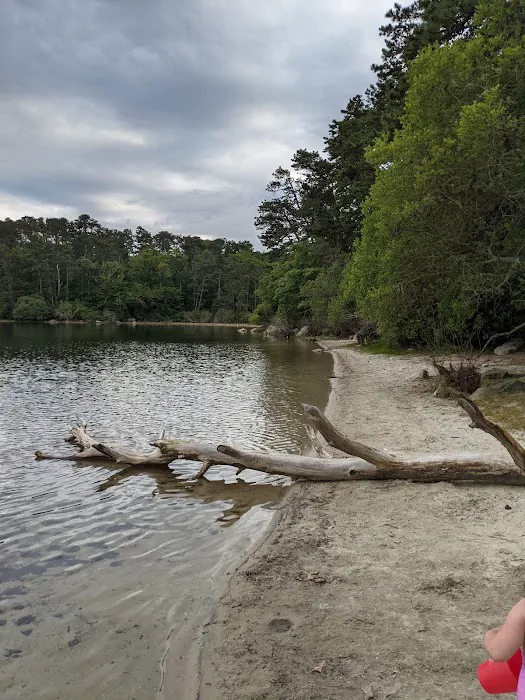 Camping Area 1 Picture 2