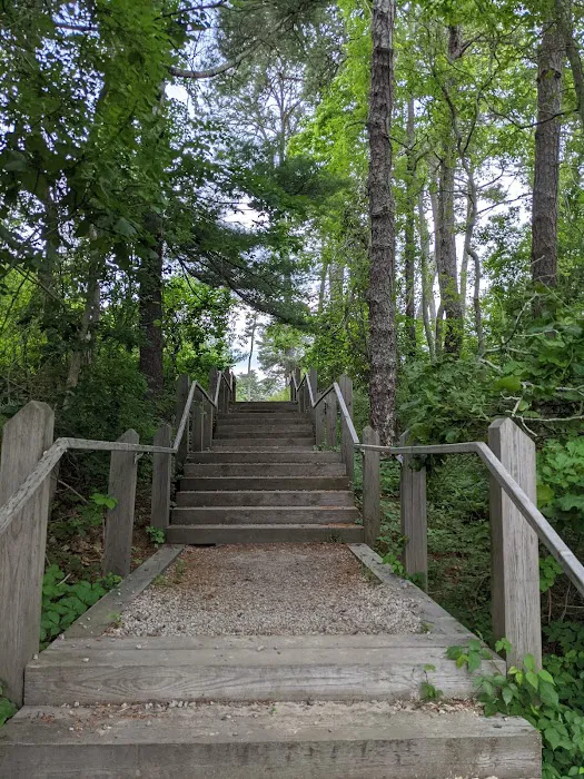 Camping Area 1 Picture 5