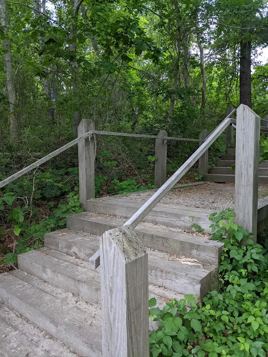 Camping Area 1 Picture 6