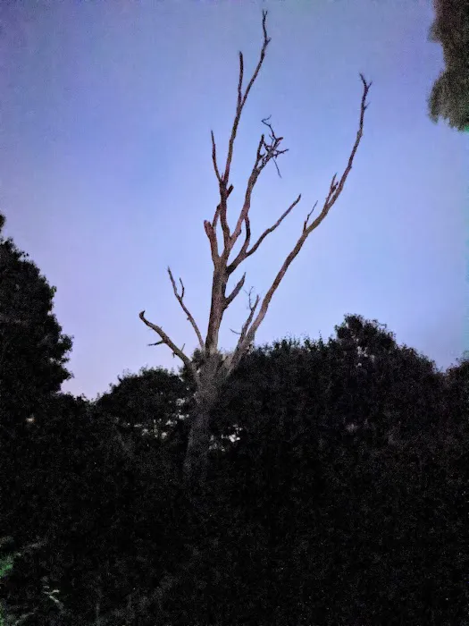 Camping Area 1 Picture 8